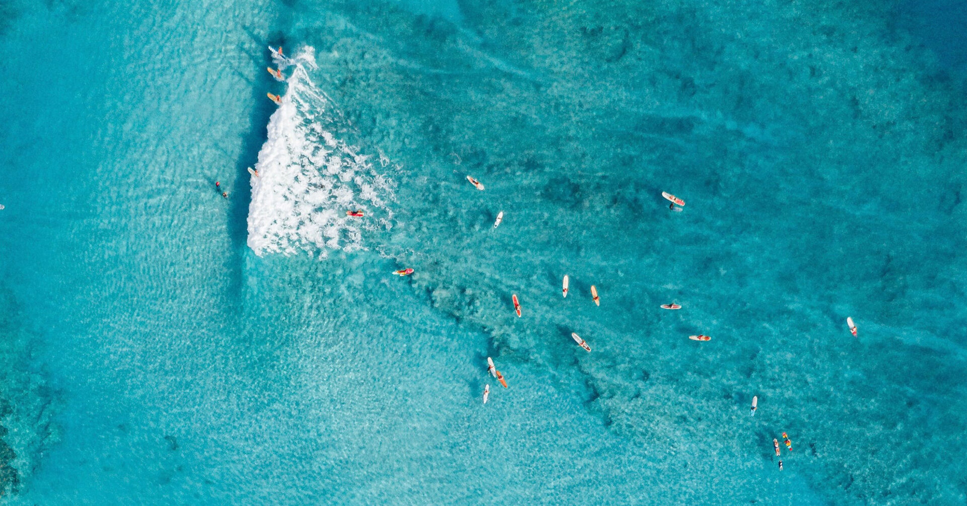 The founder of BalBo, France Abesamis, shares her journey that started from a surfing passion project and—believe it or not—her college thesis
