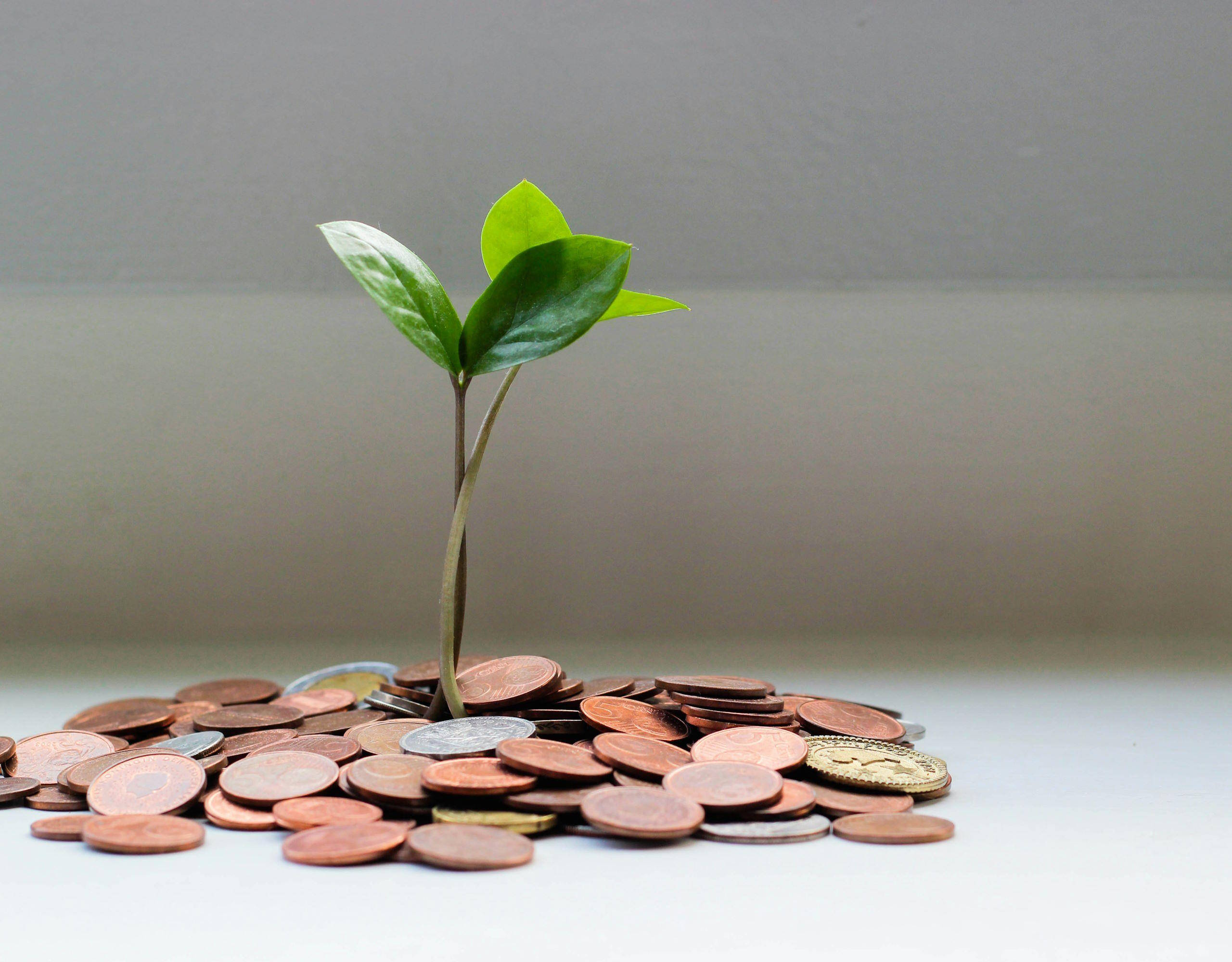 financial independence
