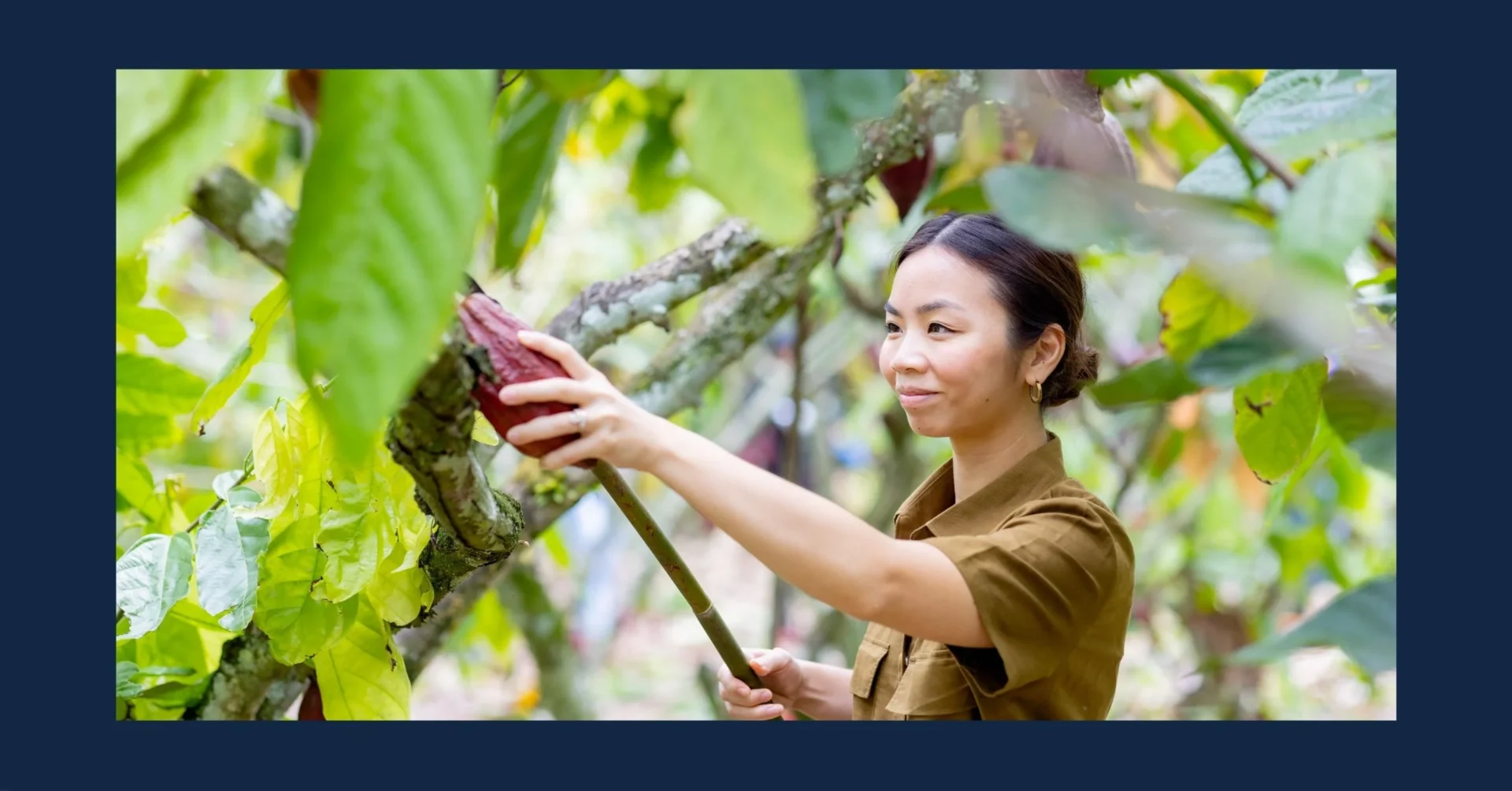 Auro Chocolate needs to address challenges such as environmental impact, price volatility, and long-term sustainability to achieve its ambition of becoming an iconic Filipino brand.
