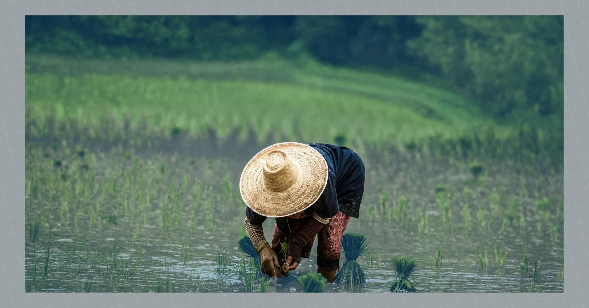 A 2025 study offers insights into how the fresh agri-supply chains of developing countries can be optimized.