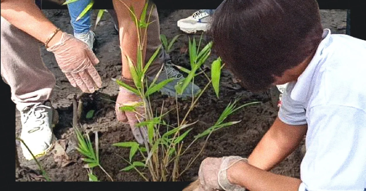 DENR-EMB Region 3 cites Vitarich Corporation for its continuous commitment to water body rehabilitation.