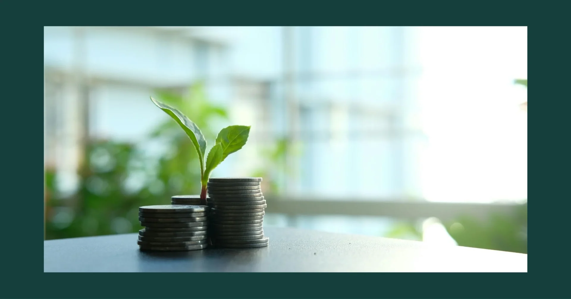 Retailers, logistics firms, manufacturers, and hotels in the Philippines prove that scaling and sustainability can go together. Photo by Towfiqu barbhuiya on Pexels.